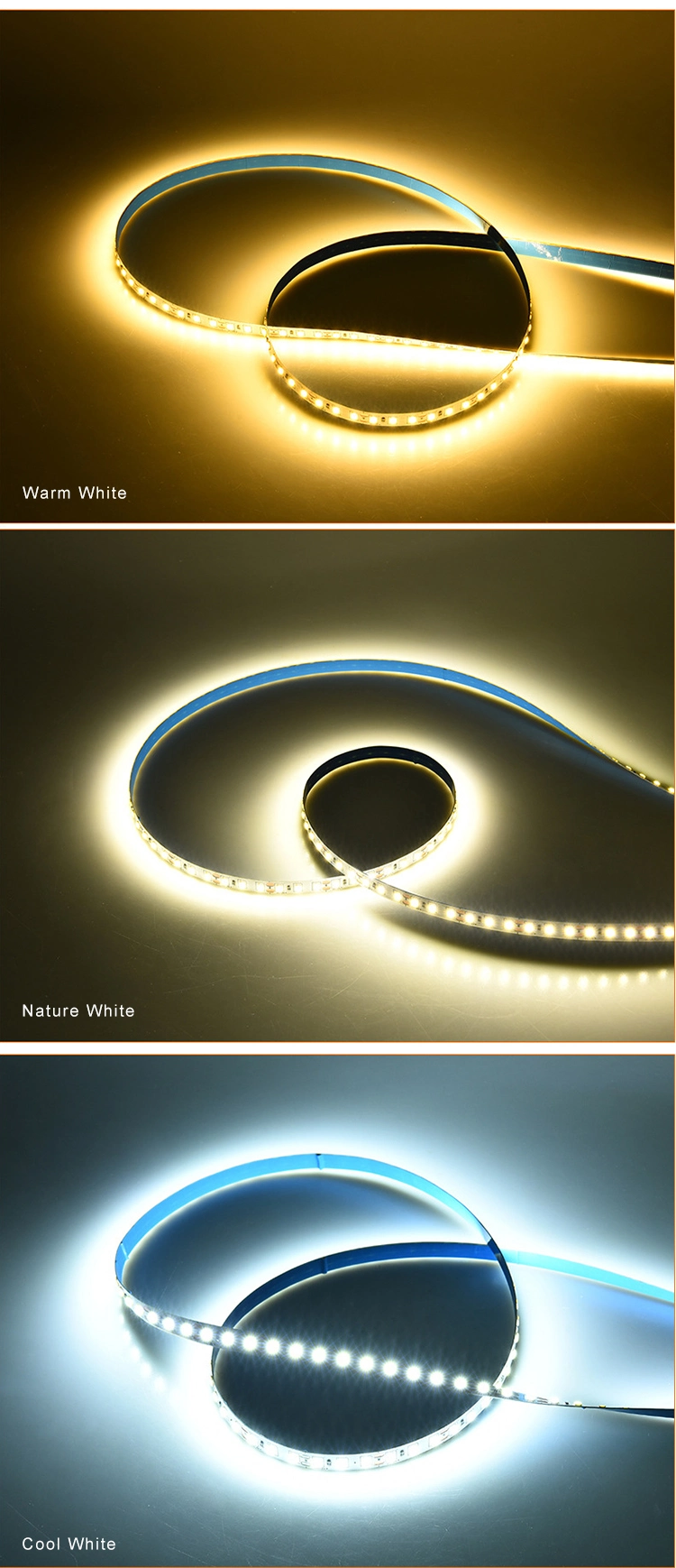 Factory Sale Lowest Price CE RoHS Indoor Office Home Landscape Tira LED Light Flexible LED Strip Light